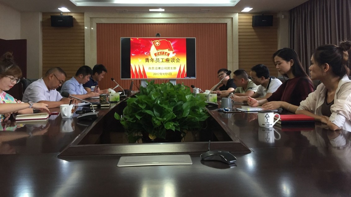 自贡沿滩公司团支部组织召开青年员工座谈会