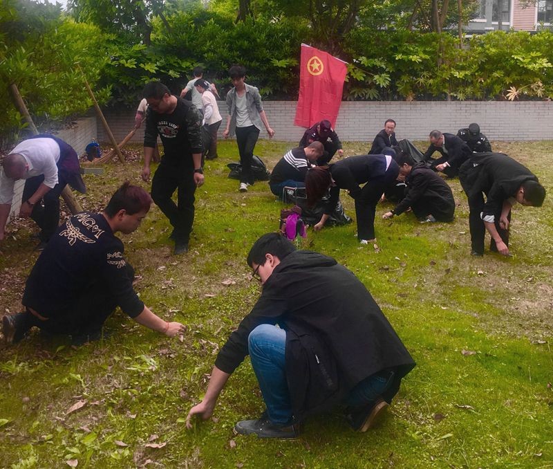 公司各单位纪念“五四”青年节活动丰富多彩