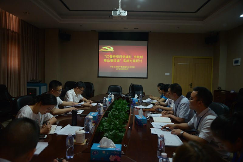 公司党委对福州公司党建工作暨“党旗红”专题党建活动进行检查调研