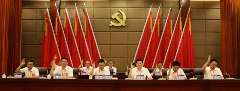 大力加强党的建设 全面深化改革发展——公司第三次党员代表大会胜利召开