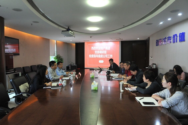 公司党委启动2019年度党建工作调研