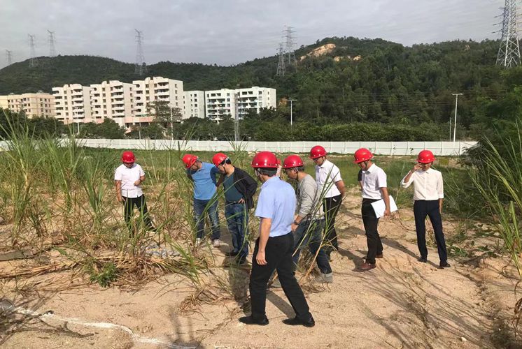 潘永光到公司珠海项目检查指导工作