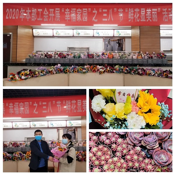 公司工会开展庆祝“三八”节女职工系列活动